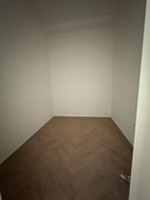 IMG_9904 Medium.jpeg